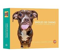 Agenda - Calendrier Drôles de chiens 2024