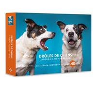 Agenda - Calendrier Drôles de chiens 2025