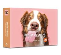 Agenda - Calendrier Drôles de chiens 2026