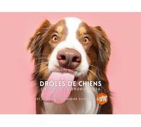 Agenda - Calendrier Drôles de chiens 2026