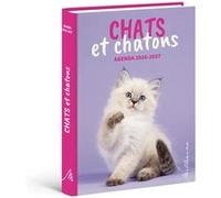 Agenda Chats et chatons 2026-2027 Collectif (Auteur)