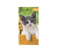 Agenda de poche 2026 fin semainier - Couverture rigide avec motif chaton finition brillante - Léger et compact - Organiseur de voyage pour étudiant