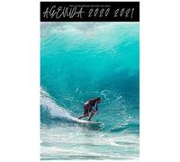 Agenda Escolar 2020 2021 / 300 Páginas / Portada : Surf Ola Wave