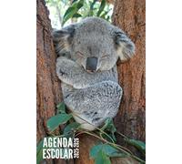 Agenda Escolar 2025 2026: Koala - Para Niños, Niñas, Estudiantes, Primaria, Secundaria, Universitario | Con Calendario, Horario, Fecha Para Recordar y Más
