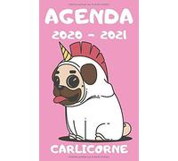Agenda Etudiant 2020 2021 / Carlicorne / 1 Jour Scolaire Par Page: Inclus : Répertoire, Suivi Des Notes, 2 Emplois De Temps, Vacances Scolaires Par Zone
