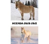 Agenda Etudiant Rentrée Septembre 2020 / Chevaux: Répertoire, Suivi Des Notes, 2 Emplois De Temps, Vacances Scolaires Par Zone