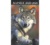 Agenda Etudiant Rentrée Septembre 2020 / Loup Wolf Regard / 1 Jour Scolaire Par Page Complète: Répertoire, Suivi Des Notes, 2 Emplois De Temps, Vacances Scolaires Par Zone
