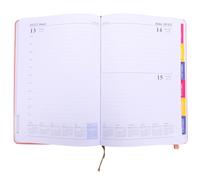 Agenda Journal Anglais 365 Jours, Carnet de Planification Rose en Papier | Pages Faciles à Tourner, Léger et Simple, pour Organiser Horaires et Habitudes au Quotidien