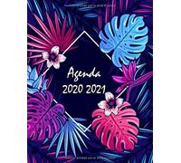 Agenda Journalier 2020 2021 Grand Format: Une Page Par Jour, Agenda Semainier 2020 2021
