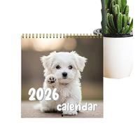 Agenda Mural Chiens Drôles 2026,Calendrier Chiots - Planning Mensuel Grand Format pour Maison Bureau Suivi Objectifs Personnels Préparations Fêtes