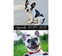 Agenda Rentrée Septembre 2020 / Bouledogue: Répertoire, Suivi Des Notes, 2 Emplois De Temps, Vacances Scolaires Par Zone