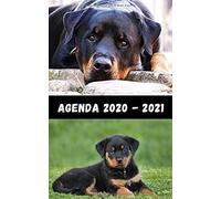 Agenda Rottweiler Du 31 Août 2020 Au 4 Juillet 2021: 1 Page Par Jour Scolaire