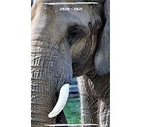 Agenda Scolaire 2020-2021 / 300 Pages / Éléphant D'afrique / Collège / Lycée / Université / Etudiant /