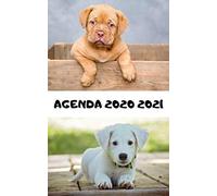 Agenda Scolaire 2020 2021 / Chiot / 1 Jour Scolaire Par Page: Inclus : Répertoire, Suivi Des Notes, 2 Emplois De Temps, Vacances Scolaires Par Zone