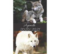 Agenda Scolaire 2020 2021 / Loup Wolf Lune: Inclus : Répertoire, Suivi Des Notes, 2 Emplois De Temps, Vacances Scolaires Par Zone