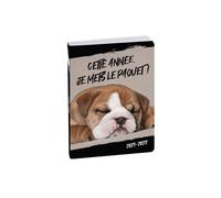 Agenda Scolaire 2021-2022 - 17x12 Cm - Multilingue - Chien