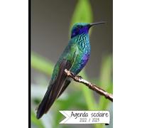 AGENDA SCOLAIRE 2022-2023: Agenda semainier | Planificateur scolaire de septembre 2022 à Juillet 2023 |Organisateur Journalier Pour étudiants collège, lycée, professionnel | Agenda colibris