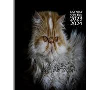 Agenda scolaire 2023 2024 Le chat Persan: Planificateur Journalier pour Étudiants Collège - Lycée - Primaire (septembre 2023 au Juillet 2024 ), 294 page, Taille 19,05 X 23,5 cm