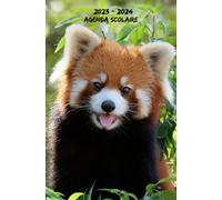 Agenda Scolaire 2023 2024 Panda Roux: Organisateur Semainier une semaine Par deux Pages,Planificateur Scolaire Pour Étudiants (primaire,Collège,lycée, université)