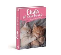 Agenda scolaire 2024-2025 Chats et Chatons