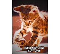 Agenda Scolaire 2024 2025 Motif Chat Tigré Jouant Avec Une Balle: Organisateur Journalier Avec Deux jours Par pag, Planificateur Scolaire Pour ... Lycée, Université),Pour Garçon et Fille