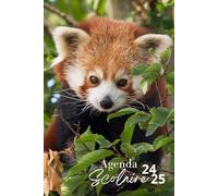 Agenda Scolaire 2024 2025: Panda Roux | Semainier (Août 2024/juillet 2025) | Pour Etudiants Primaire, Collège, Lycée | 1 semaine sur 2 pages | Format A5 | Back To School