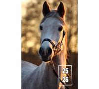 Agenda scolaire 2025 - 2026 : cahier de texte et de devoirs pour étudiants, élèves de primaire, collège et lycée - Couverture cheval - Parfait pour les cavaliers !