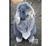 Agenda Scolaire 2025 2026 Lapin: Lapereau Fille Garçon Collège Lycée Étudiant Primaire A5 Journalier en Français