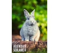 Agenda Scolaire 2025 2026: Lapin - Semainier Pour Filles, Garçons, Étudiants, Primaire, Collège et Lycée | De Septembre 2025 à Août 2026