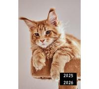 Agenda Scolaire 2025-2026 Une Page Par Jour Compact 12x17 Cm Chaton Mignon Maine Coon Roux Pour Primaire, Collège, Lycée: Planificateur ... Ados Format Pratique Avec Couverture Souple