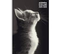 Agenda Scolaire A5: Chat Animaux, Agenda en Français Journalier Quotidien, Gris