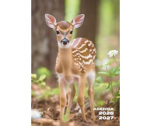 Agenda Scolaire Biche: Journalier, Un Jour par Page | 12x17cm, Format Standard, Léger | Ecole Primaire, CP, CE1, CE2, CM1, CM2, Collège, 6eme, 5eme, ... Garçon, Ado | Cerf, Bébé, Animaux, Mignon