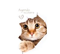 Agenda scolaire Chat: Journalier, Daté | Une page par Jour pour Noter ses Devoirs | Adorable Petit Chaton Tigré Bébé Animaux Mignon Cute Girly Kawaii ... | Fille Ado Enfant | Blanc Petit format A5