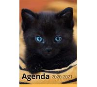 Agenda Scolaire Chaton 2020-2021: Planifier / Organiser Jour Après Jour Votre Année Scolaire 2020-2021 Grâce À Cet Agenda Journalier Chaton Pour Les Fans De Chat ! ( College, Lycée, Étudiant, Primaire