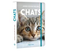 Agenda Scolaire Chats