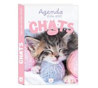 Collectif – Agenda scolaire Chats 2026-2027 – Broché (Éditions 365)