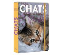 Agenda scolaire chats 2026-2027 - Collectif - Hugo Image - broché - Agenda