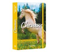 Agenda scolaire chevaux 2026-2027 - Collectif - Hugo Image - broché - Agenda