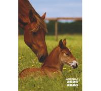 Agenda Scolaire: Chevaux, Cheval | Journalier, une Page par Jour | 12 x 17 cm | Pour Ecole Primaire, Elémentaire, Collège, Lycée, Université, Etudiant ... | Couverture Souple | Pour Fille, Garçon, Ado