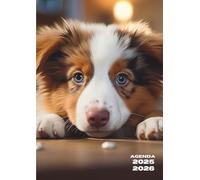 Agenda Scolaire: Chien, Berger Australien | Journalier, un Jour par Page | 12x17 cm, Format Standard | Ecole Primaire, CP, CE1, CE2, CM1, CM2, ... Garçon, Ado, Enfant | Chiot, Animaux, Bébé