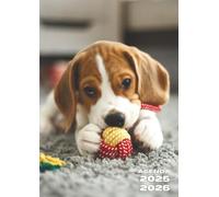 Agenda Scolaire: Chien, Chiot, Beagle, Bébé Animaux, Mignon | Journalier, un Jour par Page | 12x17 cm, Format Standard Léger | Ecole, Primaire, CP, ... Etudiant, Pour Enfant, Fille, Garçon, Ado