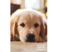 Agenda Scolaire: Chien, Golden Retriever, Chiot, Animaux | Journalier, un Jour par Page | 12x17 cm, Format Standard, Léger | Ecole Primaire, CP, CE1, ... Etudiant | Fille, Garçon, Ado, Enfant