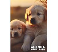 Agenda Scolaire: Chien, Golden Retriever, Chiot, Animaux | Un Jour par Page, Journalier | 12x17 cm, Format Standard, Léger | Rentrée Scolaire, Ecole ... 3eme, Lycée, Etudiant | Fille, Garçon, Enfant