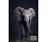 Agenda Scolaire Elephant: Fille Garçon Collège Lycée Étudiant Primaire A5 Journalier en Français