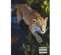 Agenda Scolaire: Guépard, Félin, Animaux | 1 jour Par page, Journalier | 12x17 cm, Format Standard, Léger | Ecole, Primaire, Collège, 6eme, 5eme, ... Fille, Garçon, Enfant | Animal Sauvage, Lion