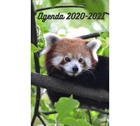 Agenda Scolaire : Panda Roux / Septembre 2020 - 4 Juillet 2021 / 300 Pages