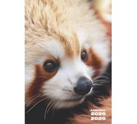 Agenda Scolaire: Panda, Roux | Une Page par Jour, Journalier | 12x17 cm, Format Standard | Ecole Primaire, CP, CE1, CE2, CM1, CM2, Collège, 6eme, ... Garçon, Enfant | Bébé Animaux, Mignon, Ours