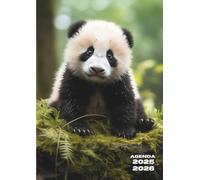Agenda Scolaire: Panda | Une Page par Jour, Journalier | 12x17 cm, Format Standard, Léger | Ecole Primaire, CP, CE1, CE2, CM1, CM2, Collège, 6ème, ... Fille, Garçon, Enfant | Bébé Animaux, Mignon