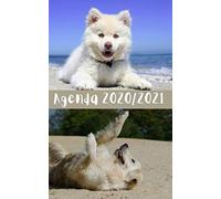 Agenda Scolaire Rentrée Septembre 2020 / Chiens À La Plage: Répertoire, Suivi Des Notes, 2 Emplois De Temps, Vacances Scolaires Par Zone