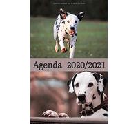 Agenda Scolaire - Rentrée Septembre 2020 / Dalmatien: Inclus : Répertoire, Suivi Des Notes, 2 Emplois De Temps, Vacances Scolaires Par Zone